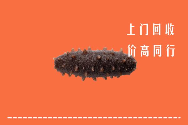 高价求购：淮安回收海参