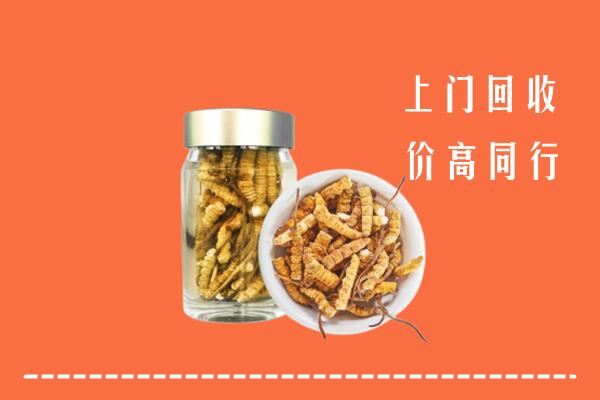 淮安回收冬虫夏草