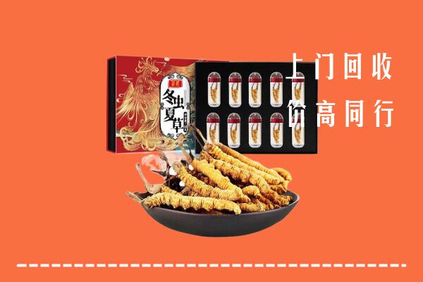 淮安回收虫草